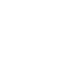 נייט שיפט - לוגו